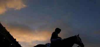 Apuestas mutuas caballos