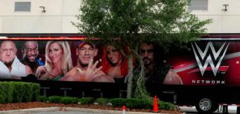 Las apuestas y el Wrestling o lucha libre WWE