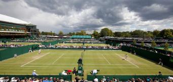 Quien ganara Wimbledon