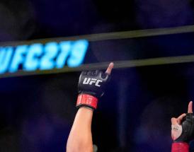 Pronosticos UFC